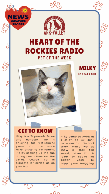 Meet Milky – Heart of the Rockies Radio Pet of the Week!