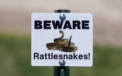 Salida Fire Department Warns Hikers About Rattlesnake Danger in the Area