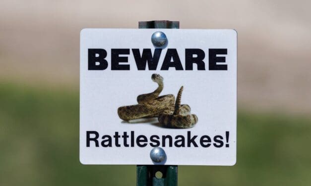Salida Fire Department Warns Hikers About Rattlesnake Danger in the Area