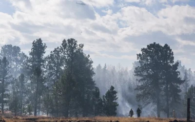 Highlands Lake Fire in Teller County 80% Contained, Restrictions Lifted