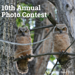 GARNA’s 10th Annual Photo Contest Celebrates Upper Arkansas Valley Ecosystems