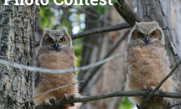 GARNA’s 10th Annual Photography Contest Now Accepting Submissions