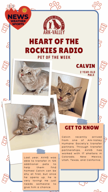 Meet Calvin – Heart of the Rockies Radio Pet of the Week!