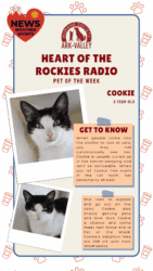 Meet Cookie – Heart of the Rockies Radio Pet of the Week!