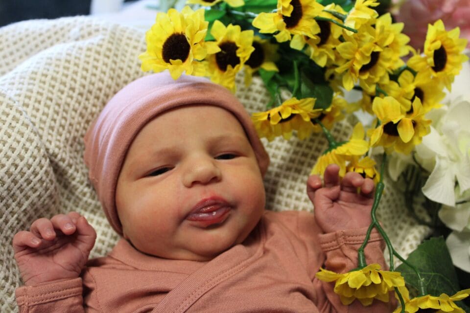 New Arrival: Ella Renee Plante