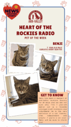 Meet Benji – Heart of the Rockies Radio Pet of the Week