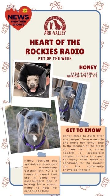 Meet Honey, Heart of the Rockies Radio Pet of the Week!