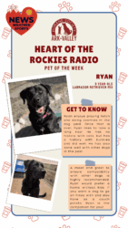 Meet Ryan – Heart of the Rockies Radio Pet of the Week!