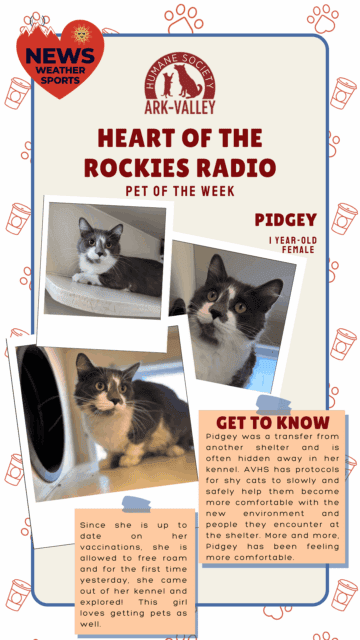 Meet Pidgey – Heart of the Rockies Radio Pet of the Week!