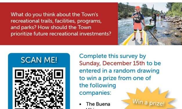 Buena Vista Community Recreation Survey