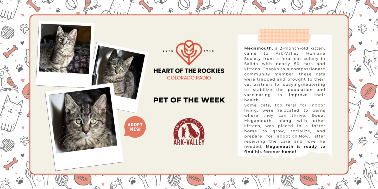 Meet Megamouth – Heart of the Rockies Pet of the Week!