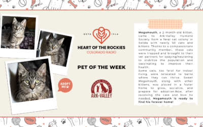 Meet Megamouth – Heart of the Rockies Pet of the Week!