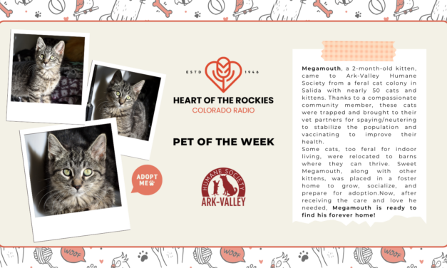 Meet Megamouth – Heart of the Rockies Pet of the Week!