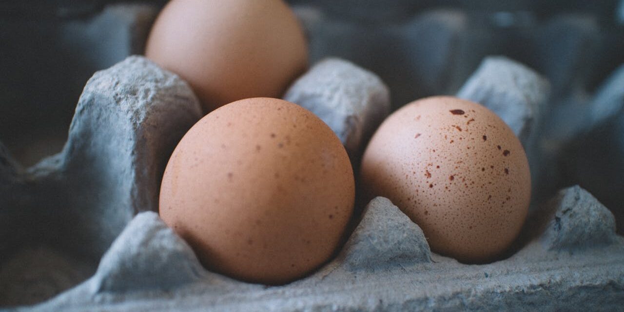 Cage-Free Egg Law Repeal Bill Fails