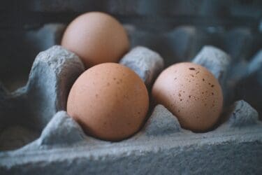 Cage-Free Egg Law Repeal Bill Fails