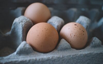 Cage-Free Egg Law Repeal Bill Fails