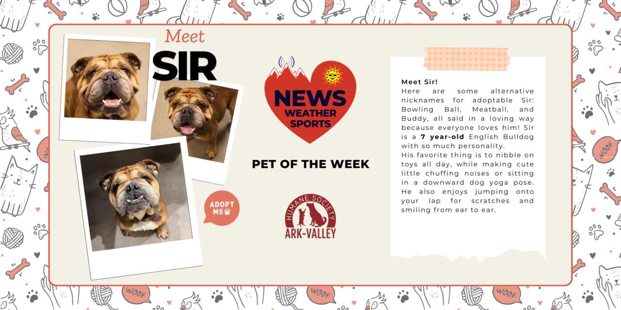 Meet Sir – Heart of the Rockies Radio Pet of the Week!