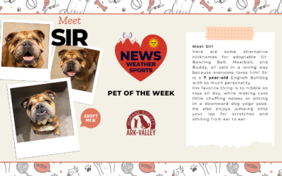 Meet Sir – Heart of the Rockies Radio Pet of the Week!