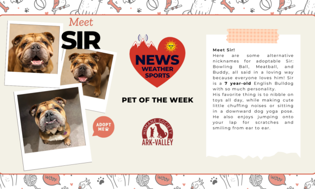 Meet Sir – Heart of the Rockies Radio Pet of the Week!