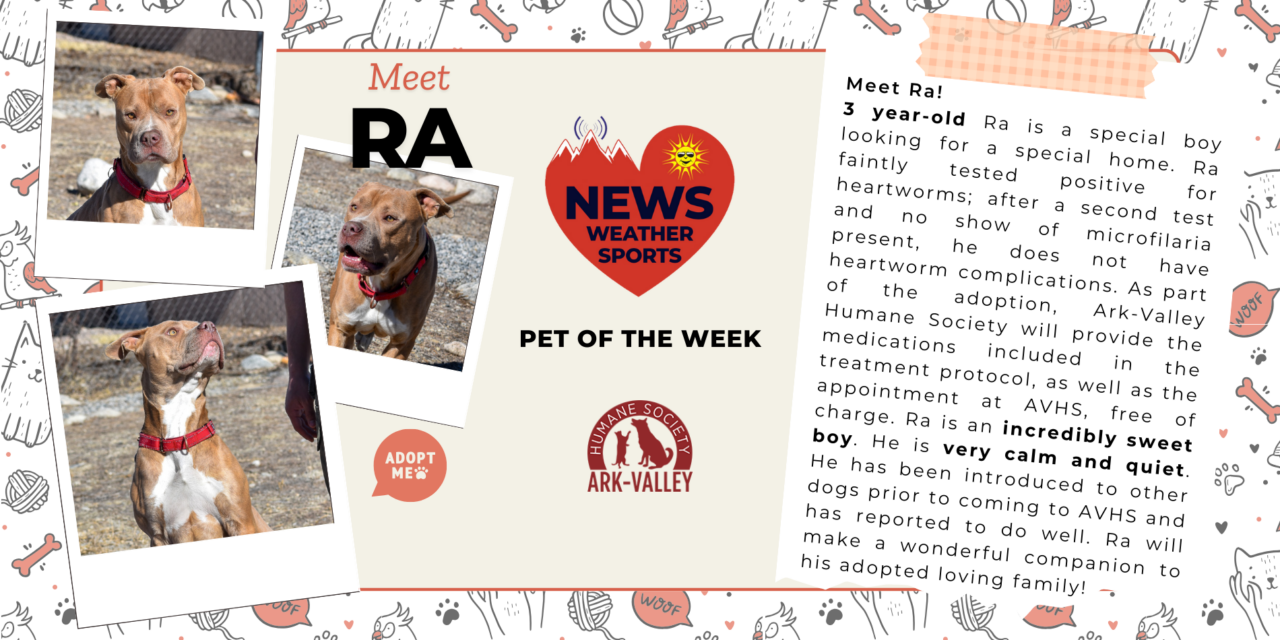 Meet Ra – Heart of the Rockies Radio Pet of the Week!