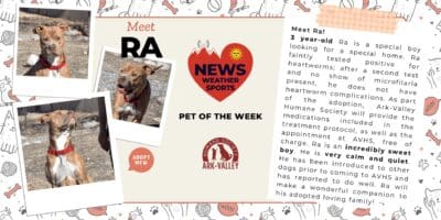 Meet Ra – Heart of the Rockies Radio Pet of the Week!