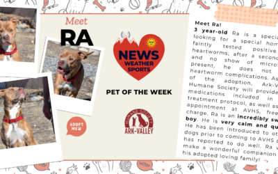 Meet Ra – Heart of the Rockies Radio Pet of the Week!