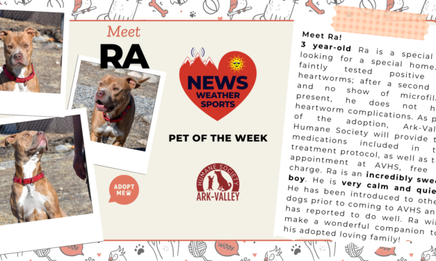 Meet Ra – Heart of the Rockies Radio Pet of the Week!