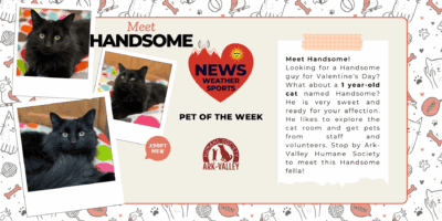 Meet Handsome – Heart of the Rockies Radio Pet of the Week