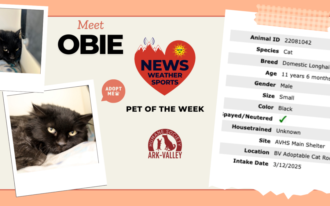 Meet Obie – Heart of the Rockies Radio Pet of the Week