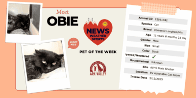 Meet Obie – Heart of the Rockies Radio Pet of the Week