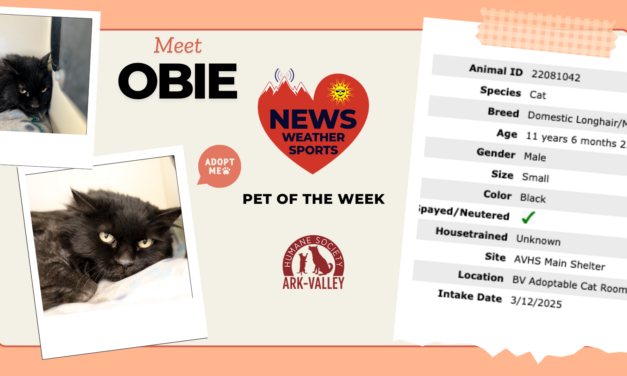 Meet Obie – Heart of the Rockies Radio Pet of the Week