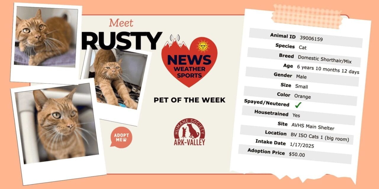 Meet Rusty – Heart of the Rockies Radio Pet of the Week!