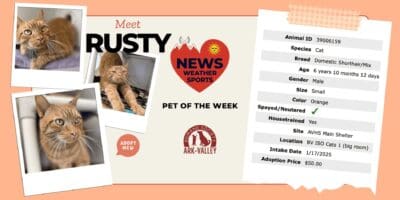Meet Rusty – Heart of the Rockies Radio Pet of the Week!