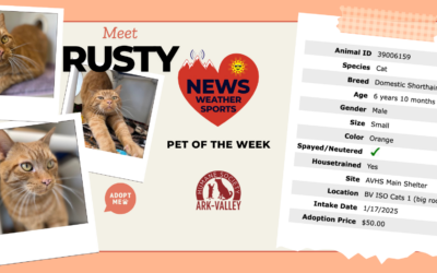 Meet Rusty – Heart of the Rockies Radio Pet of the Week!