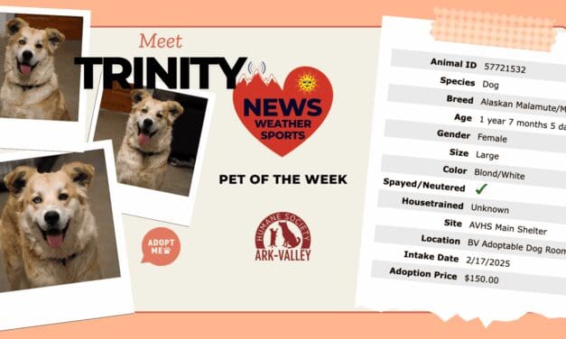 Meet Trinity Anne – Heart of the Rockies Radio Pet of the Week