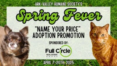 Spring Pet Adoption Event Lets You Name Your Price at Ark Valley Humane Society