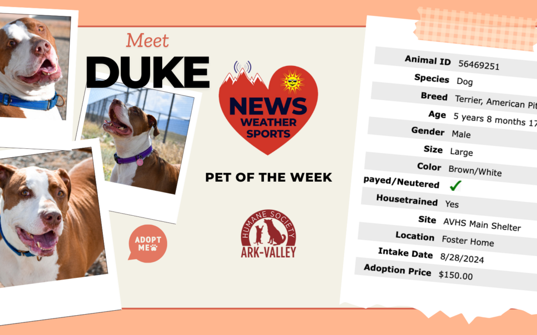 Meet Duke – HOTRR Pet of the Week!