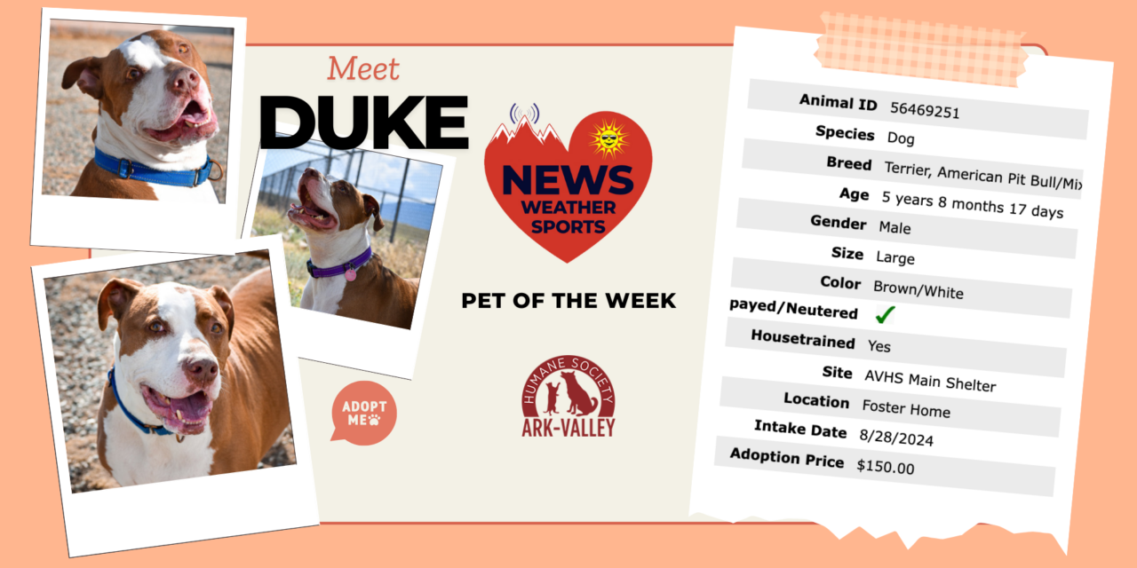 Meet Duke – HOTRR Pet of the Week!
