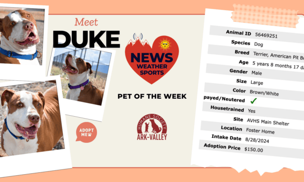 Meet Duke – HOTRR Pet of the Week!