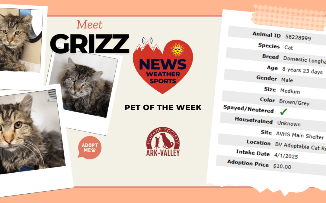 Meet Grizz – Heart of the Rockies Radio Pet of the Week