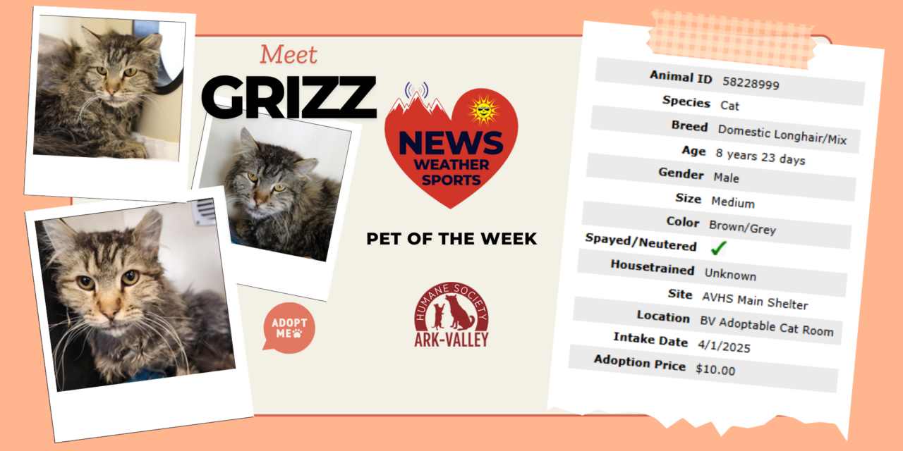 Meet Grizz – Heart of the Rockies Radio Pet of the Week
