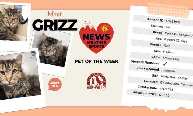 Meet Grizz – Heart of the Rockies Radio Pet of the Week