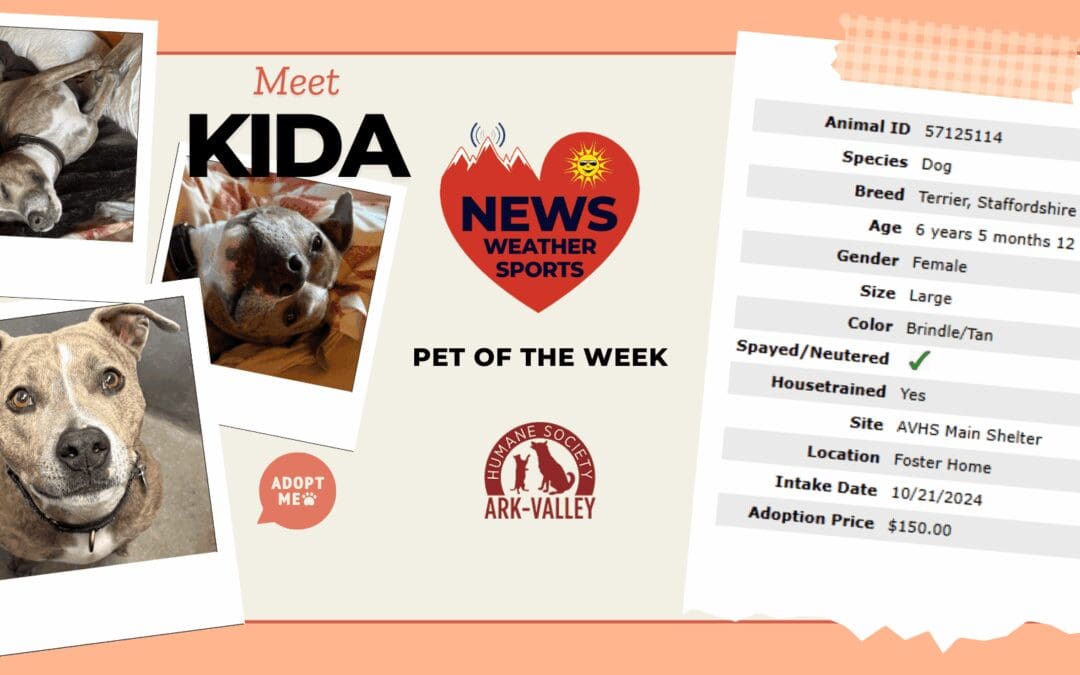 Meet Kida Heart of the Rockies Radio Pet of the Week!
