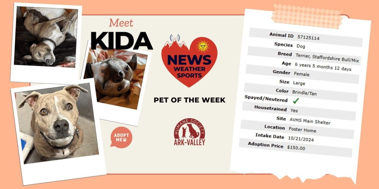 Meet Kida Heart of the Rockies Radio Pet of the Week!