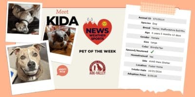 Meet Kida Heart of the Rockies Radio Pet of the Week!