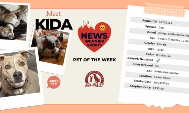 Meet Kida Heart of the Rockies Radio Pet of the Week!