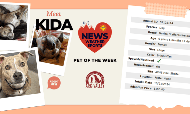 Meet Kida Heart of the Rockies Radio Pet of the Week!