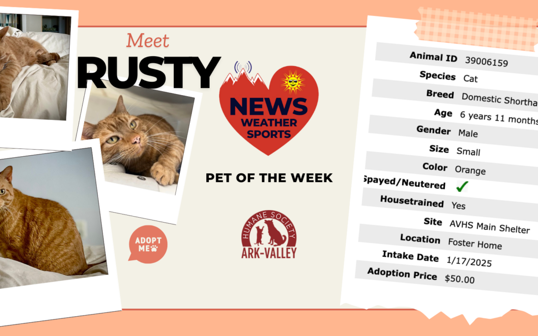 Meet Rusty – Heart of the Rockies Radio Pet of the Week!