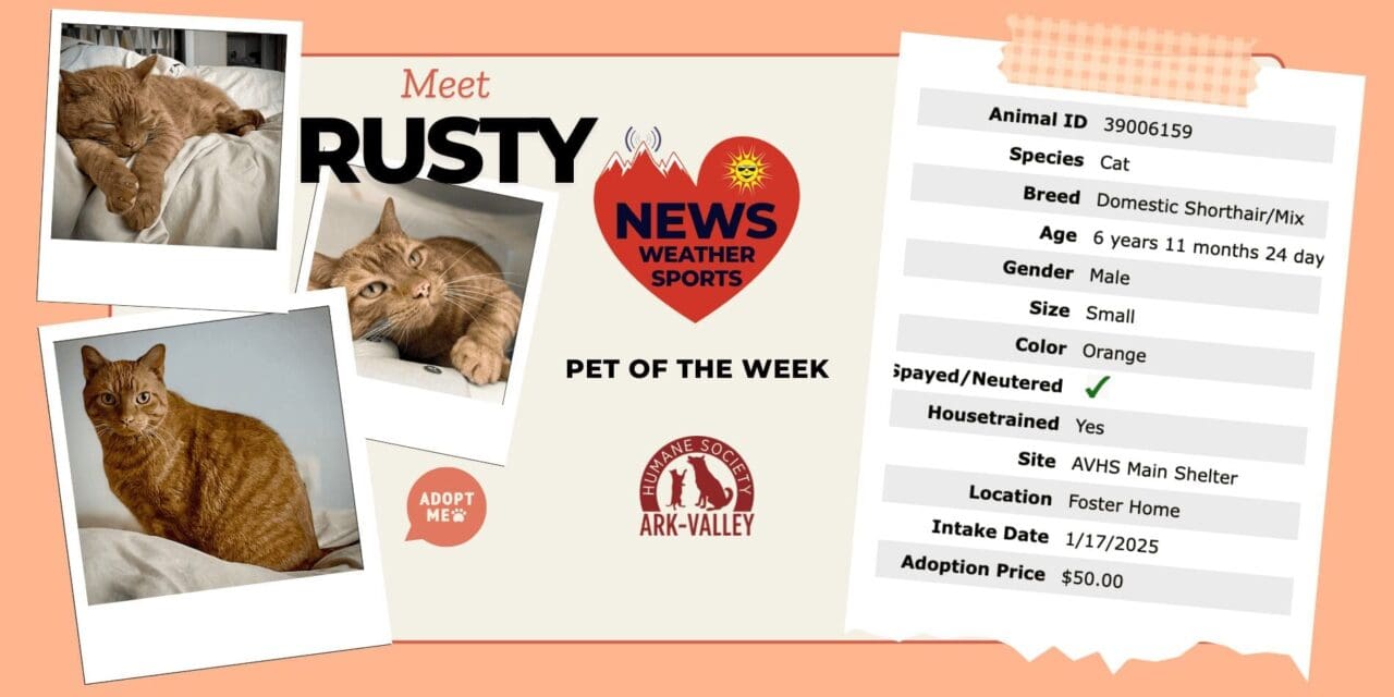 Meet Rusty – Heart of the Rockies Radio Pet of the Week!