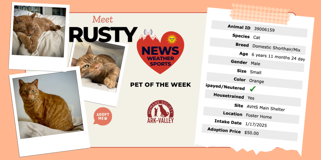 Meet Rusty – Heart of the Rockies Radio Pet of the Week!